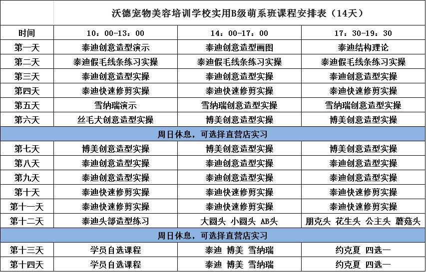 店內實用B級萌系班